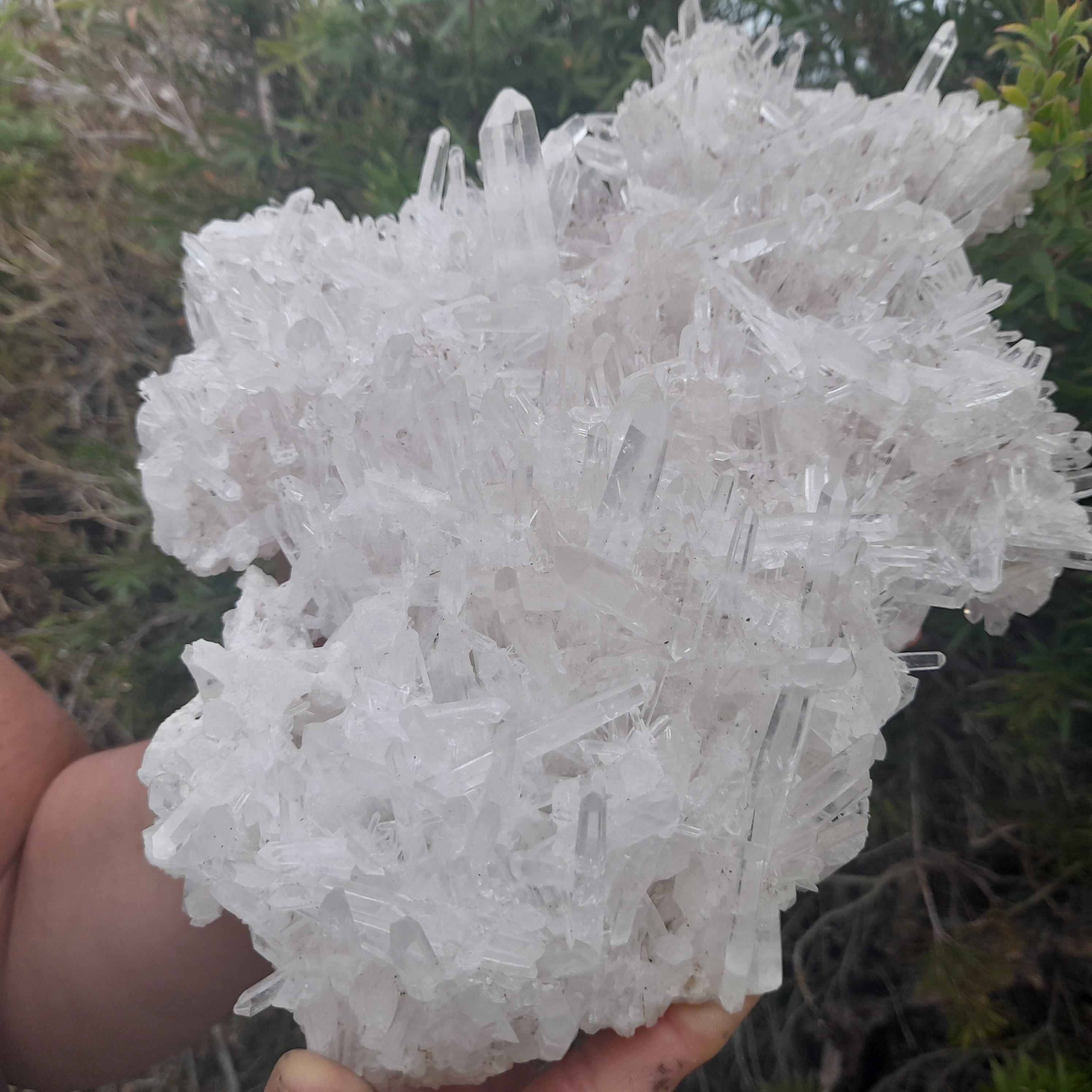 Clear Quartz - Needle Cluster 3.21kg PICK UP ONLY