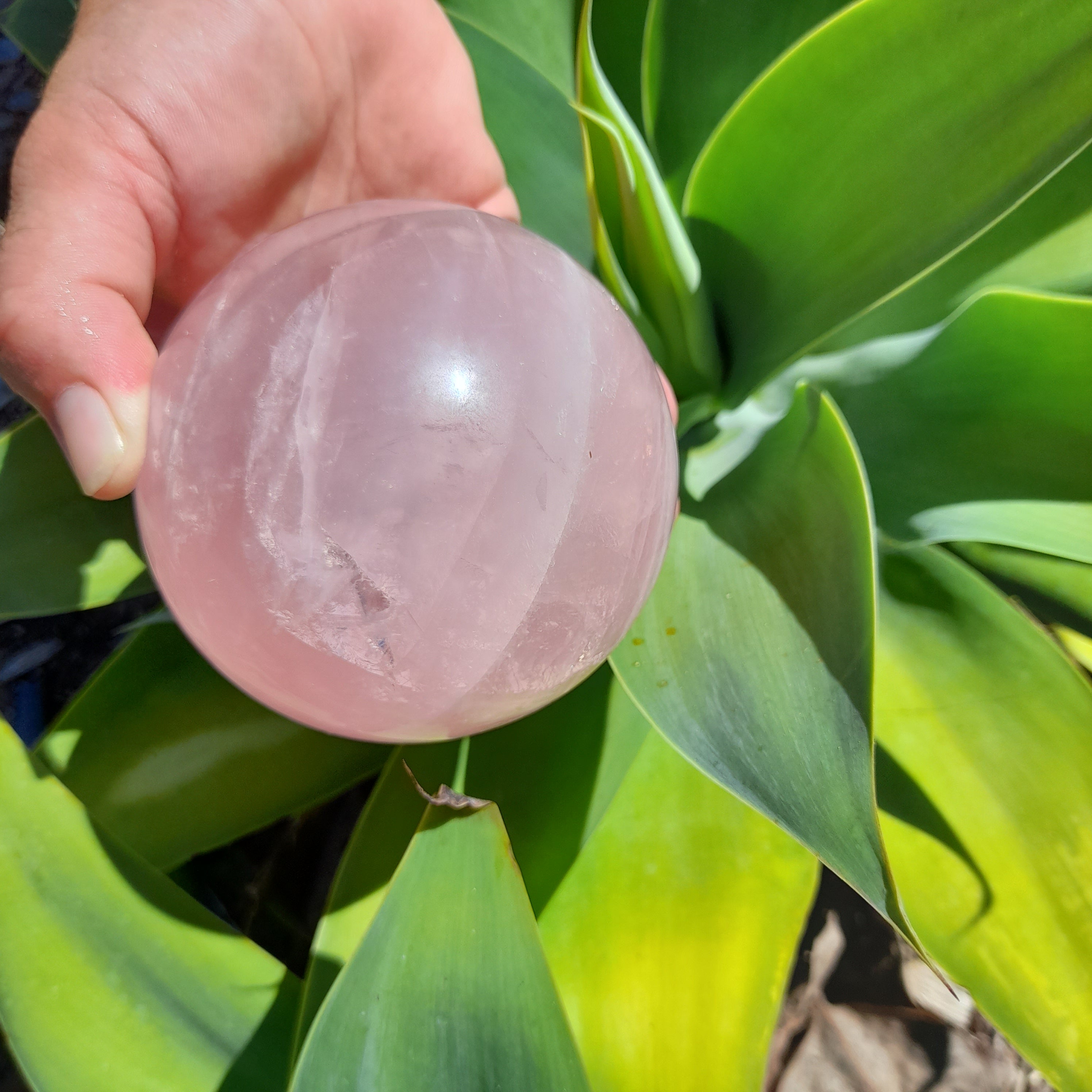 Rose Quartz ~ Sphere 950g 8.5cm - last one!