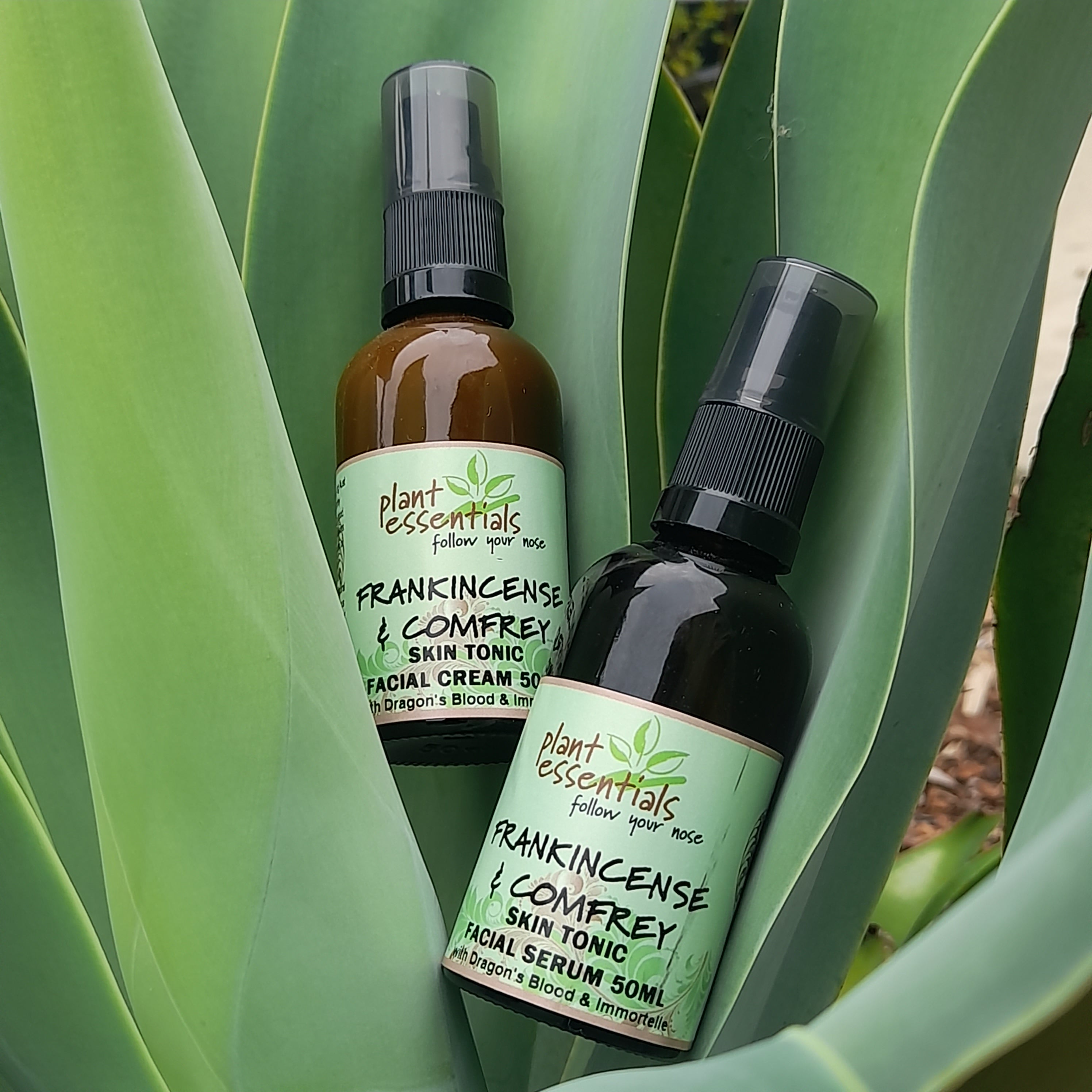 Frankincense & Comfrey Skin Tonic Facial Cream 50ml