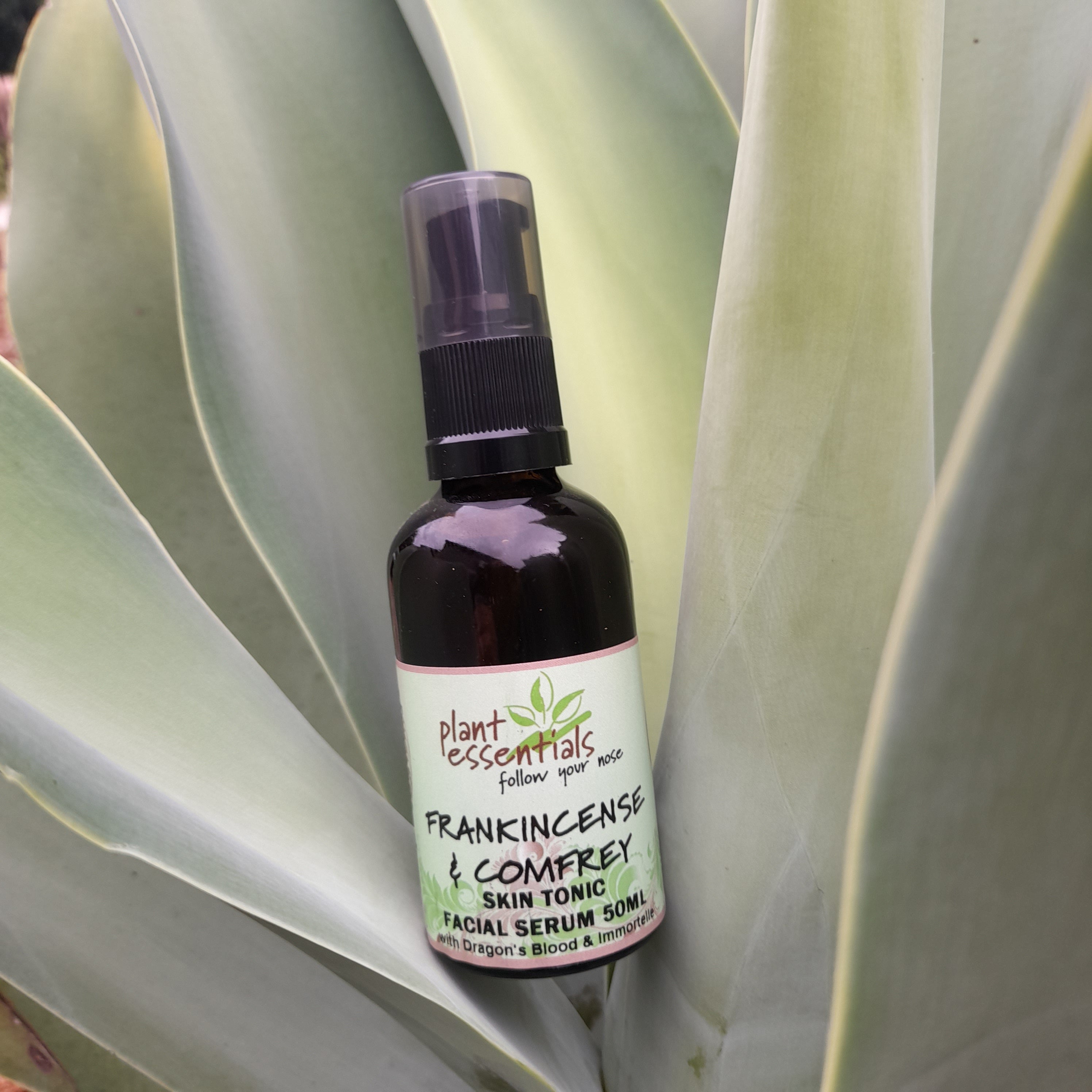 Frankincense & Comfrey Skin Tonic Facial Serum 50ml