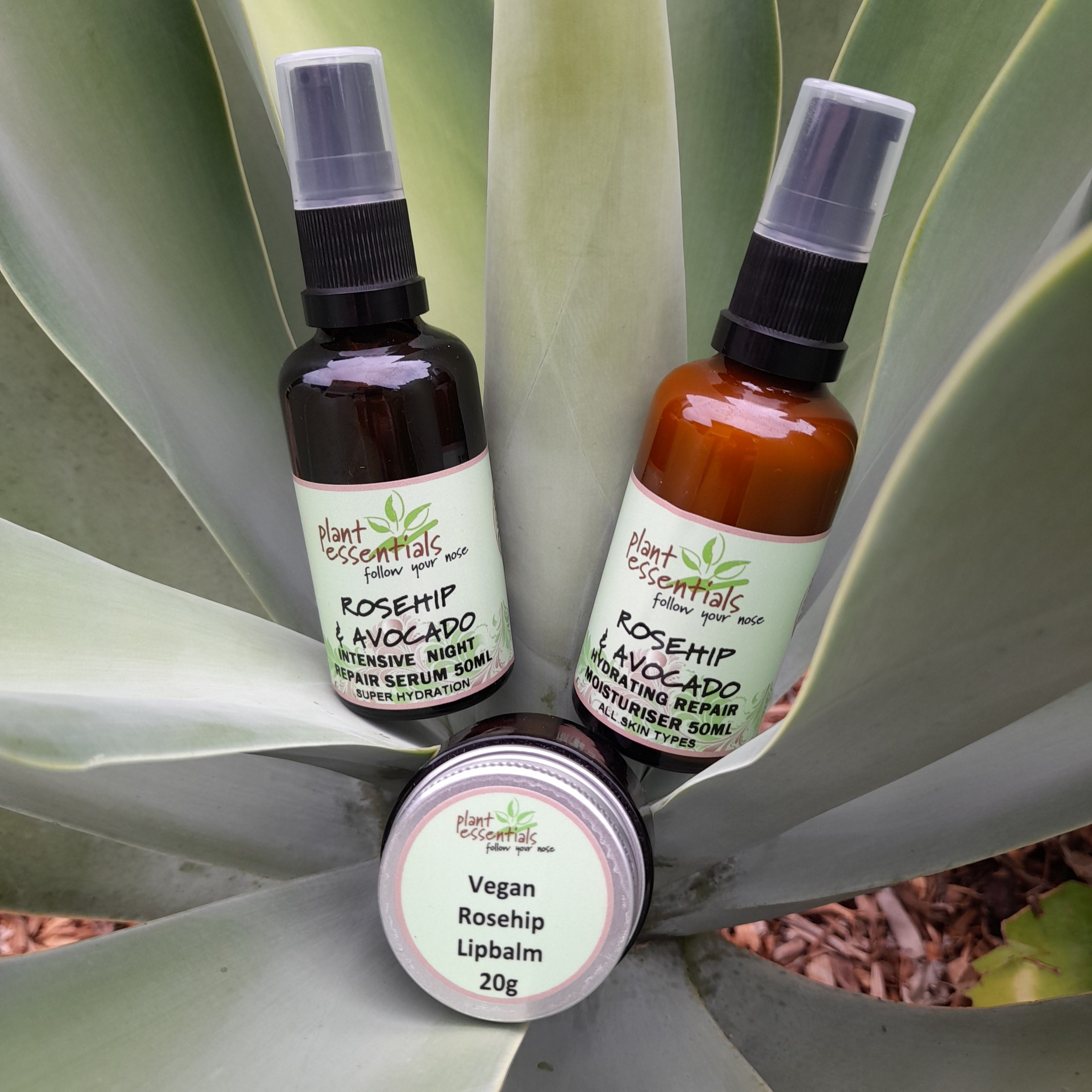 Time to hydrate Anti-Ageing Autumn Trio