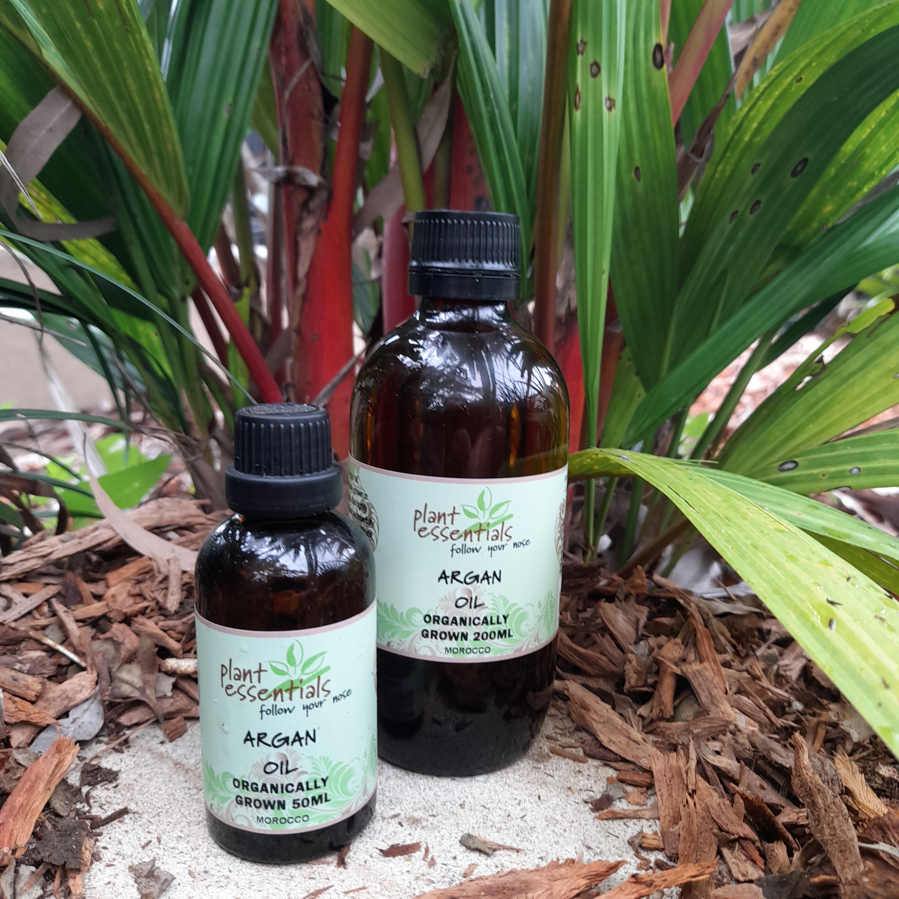 Argan Oil 100ml