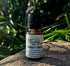 Basil, Sweet Essential Oil 30ml