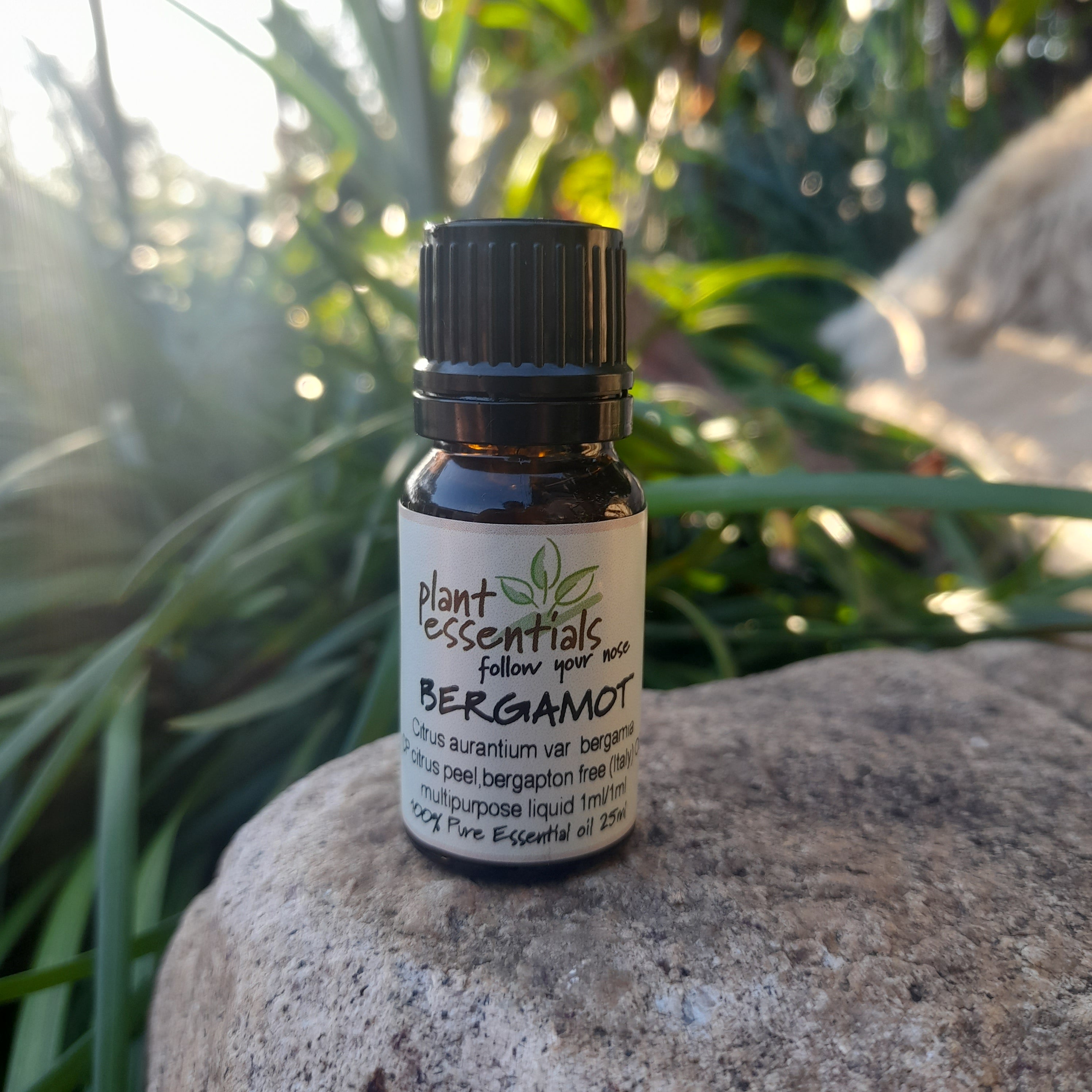 Bergamot Essential Oil