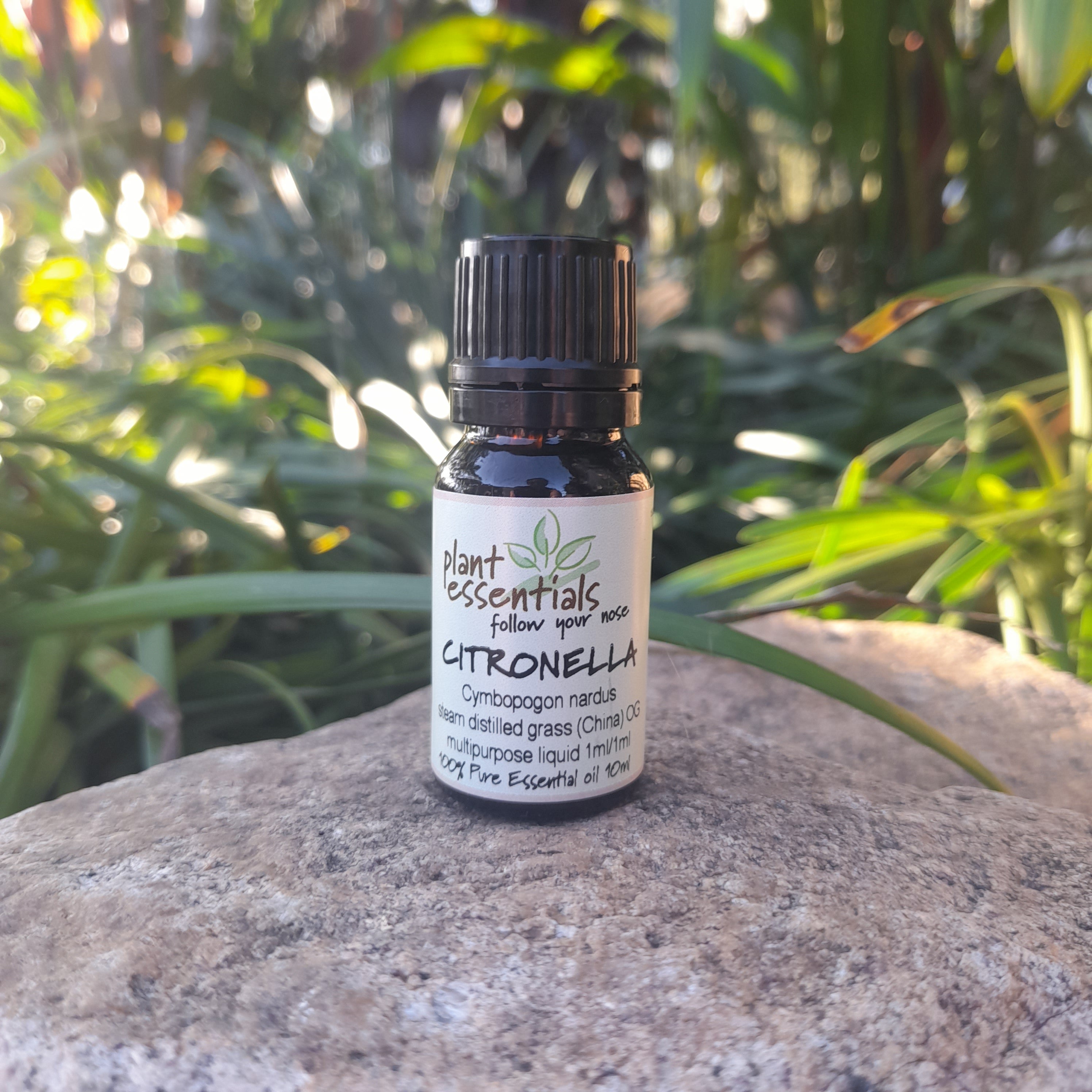 Citronella Essential Oil
