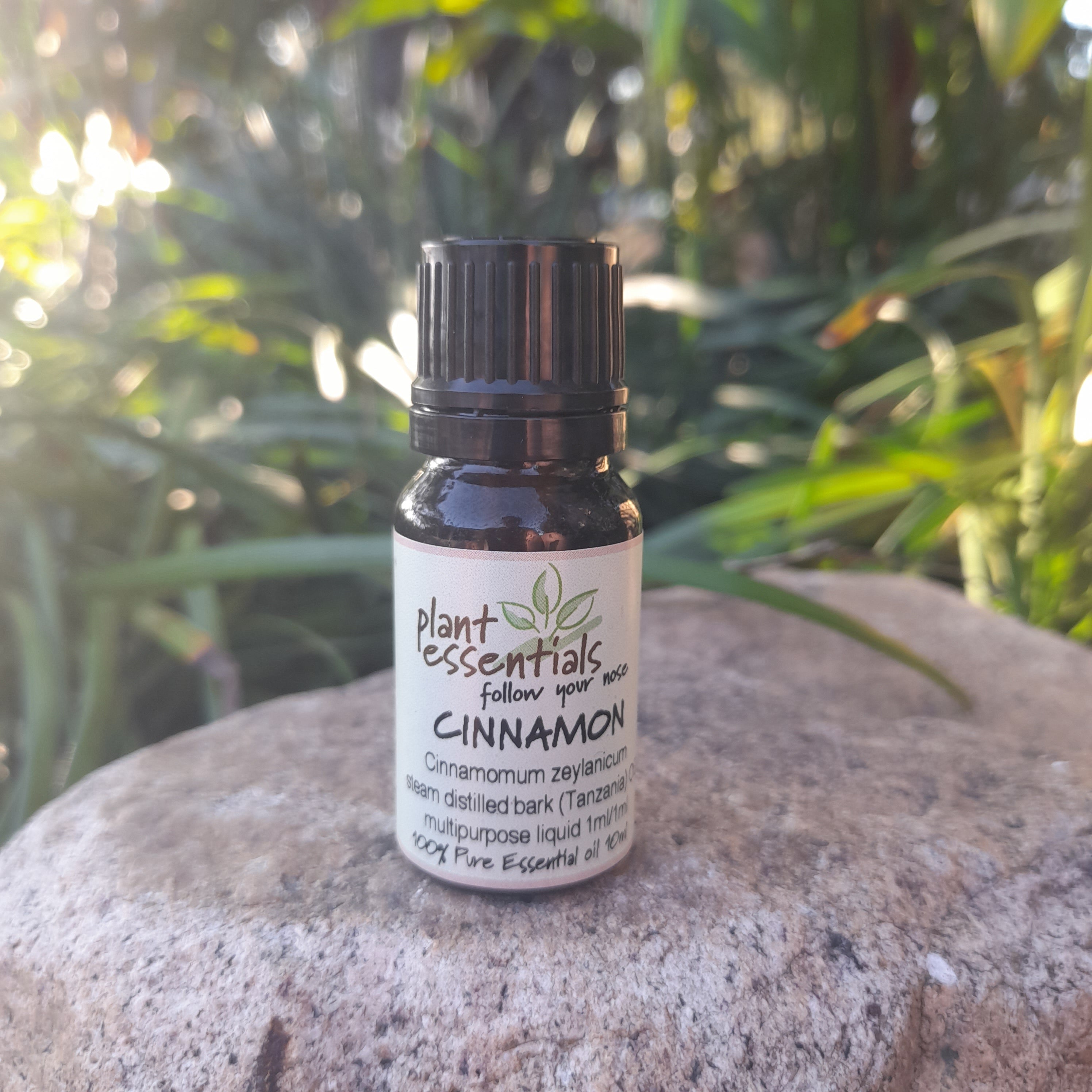 Cinnamon Bark Essential Oil