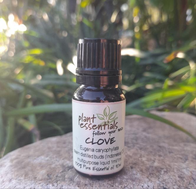 Clove Bud Essential Oil