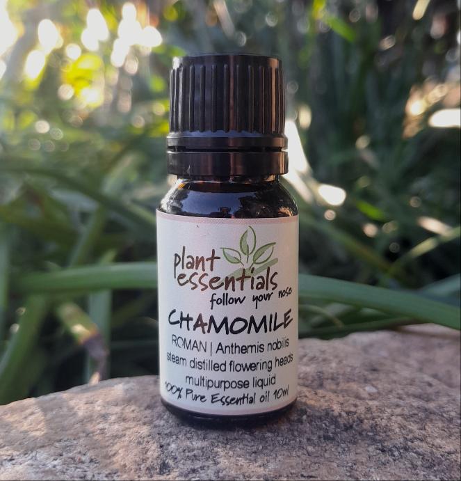 Chamomile, Roman Essential Oil