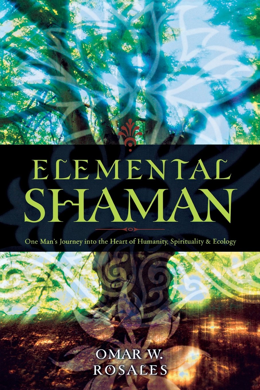 Elemental Shaman ~ Omar W. Rosales - last one!