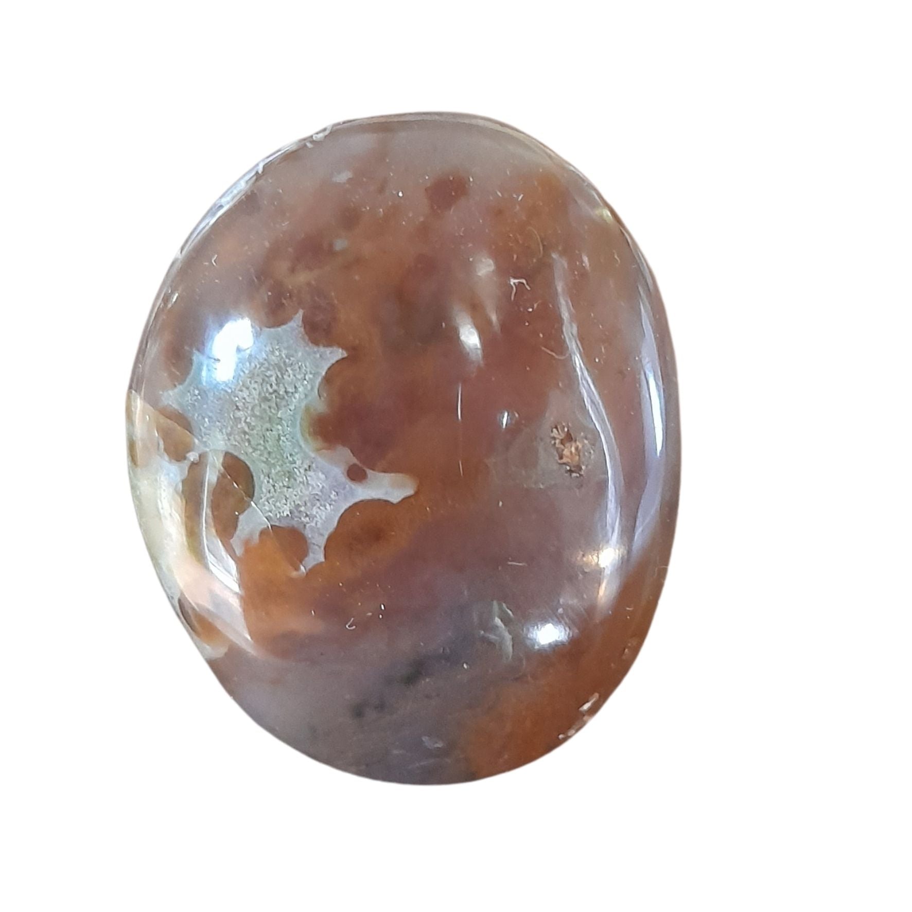 Ocean Jasper Media 1 of 1