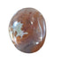 Ocean Jasper Media 1 of 1