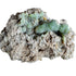 Wulfenite and Mimetite Media 1 of 1