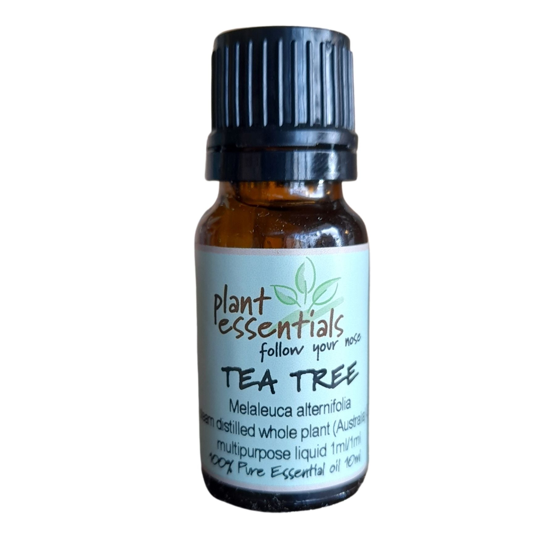 Tea Tree Essential Oil, Melaleuca alternifolia OG Media 1 of 1