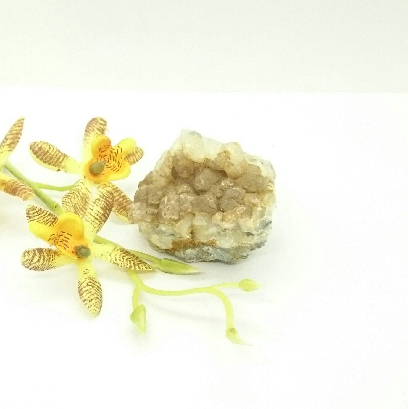 Brown Calcite on White Calcite