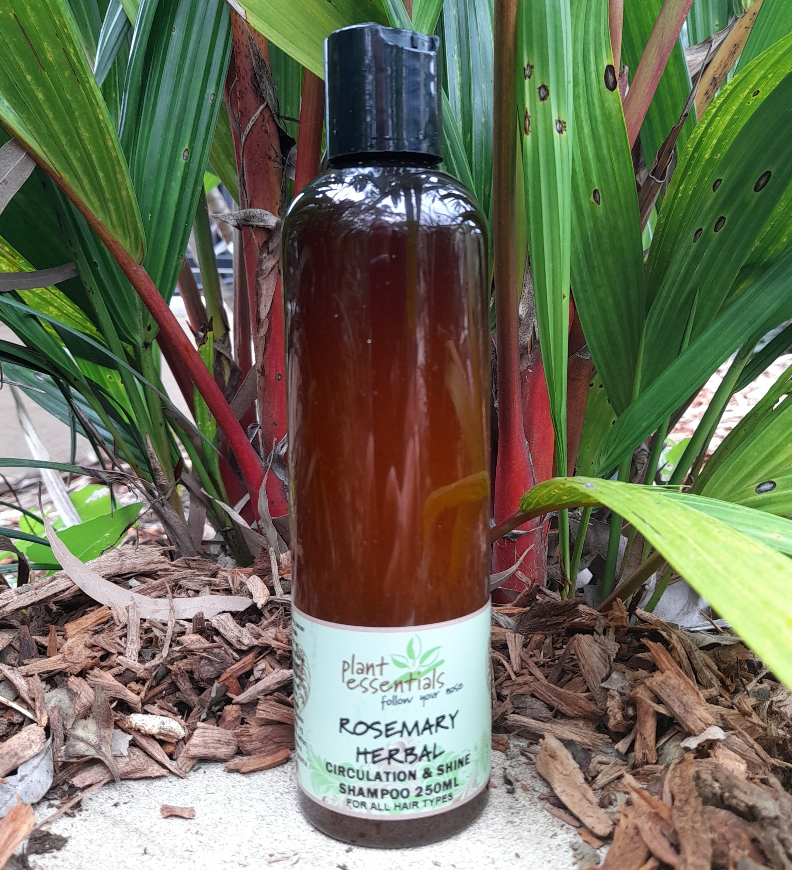 Rosemary Herbal Everyday Shampoo 250ml
