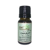 Carrot Seed Essential Oil, Daucus carota