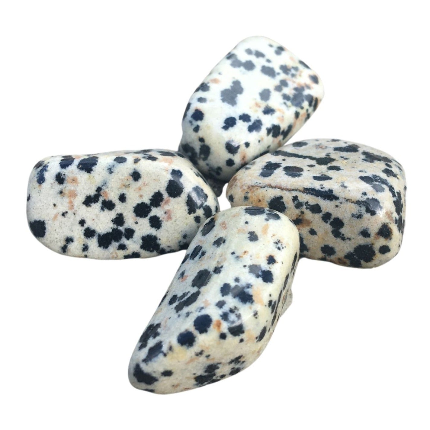 Dalmation Jasper ~ Tumbled stone
