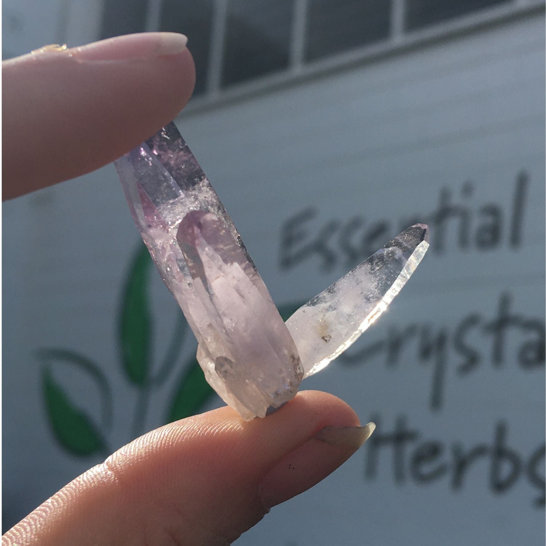 Vera Cruz Amethyst