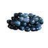 Moss Agate Crystal Bracelet