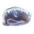 Botswana Agate Media 1 of 1