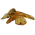 Copal, polished
