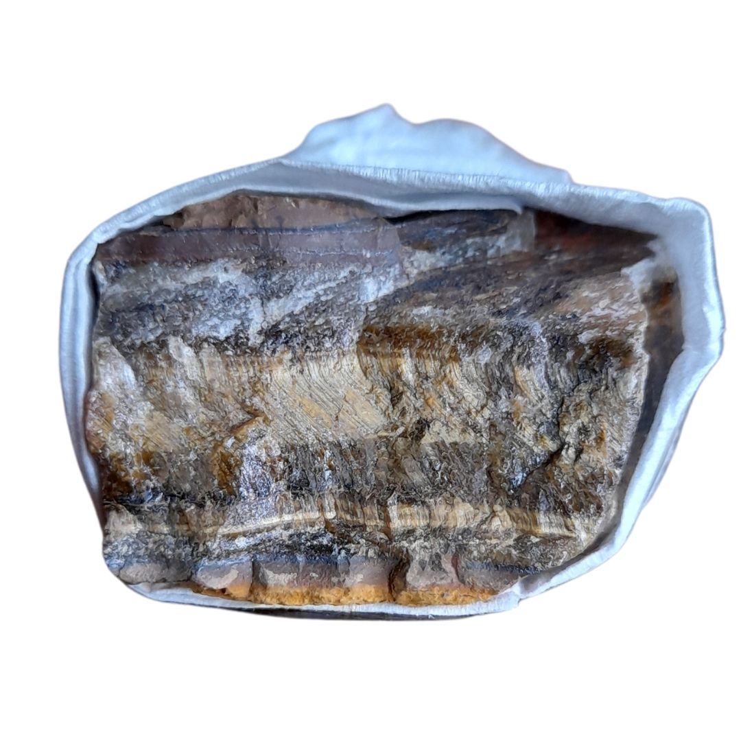Tiger's eye, Gold ~ Raw Media 1 of 1