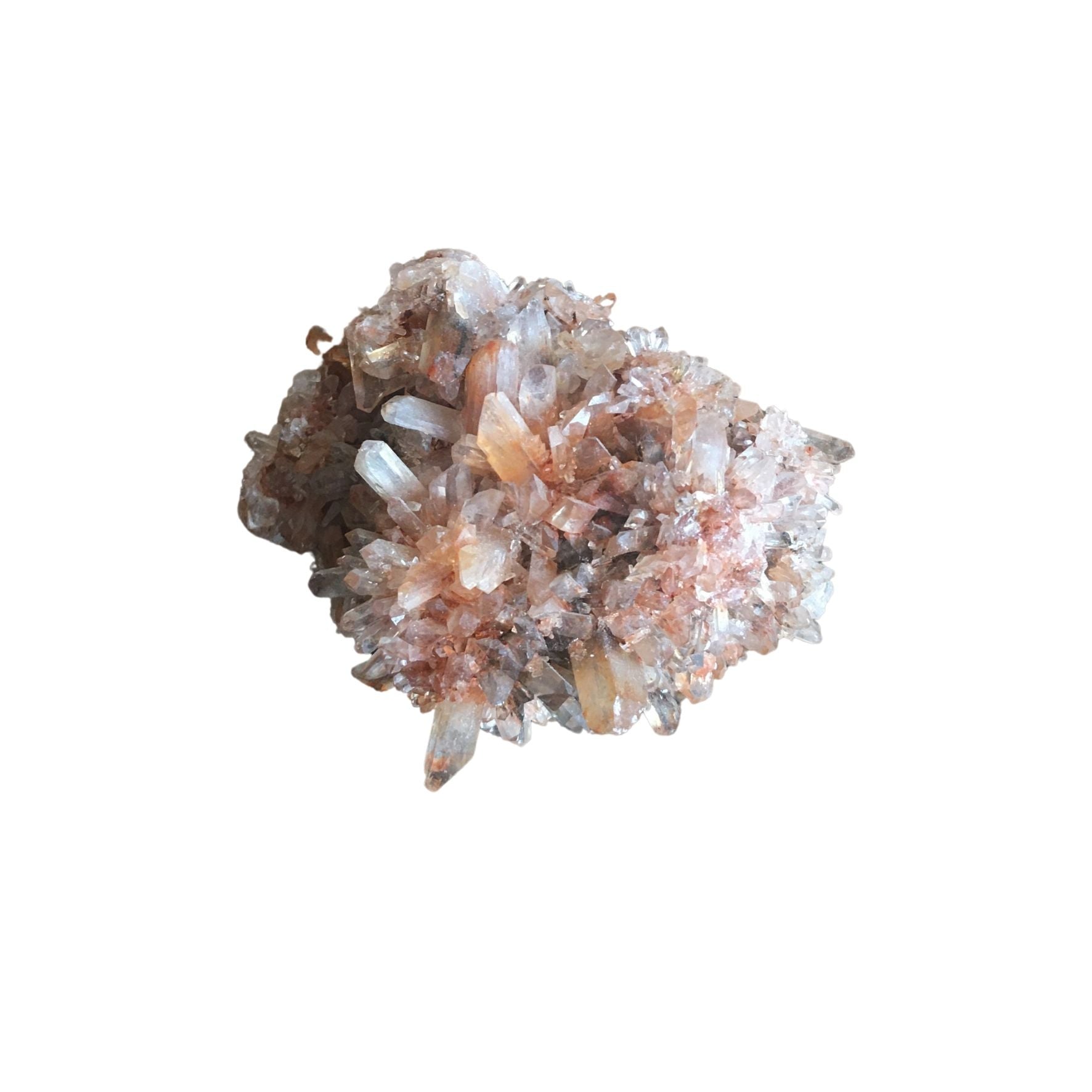 Creedite