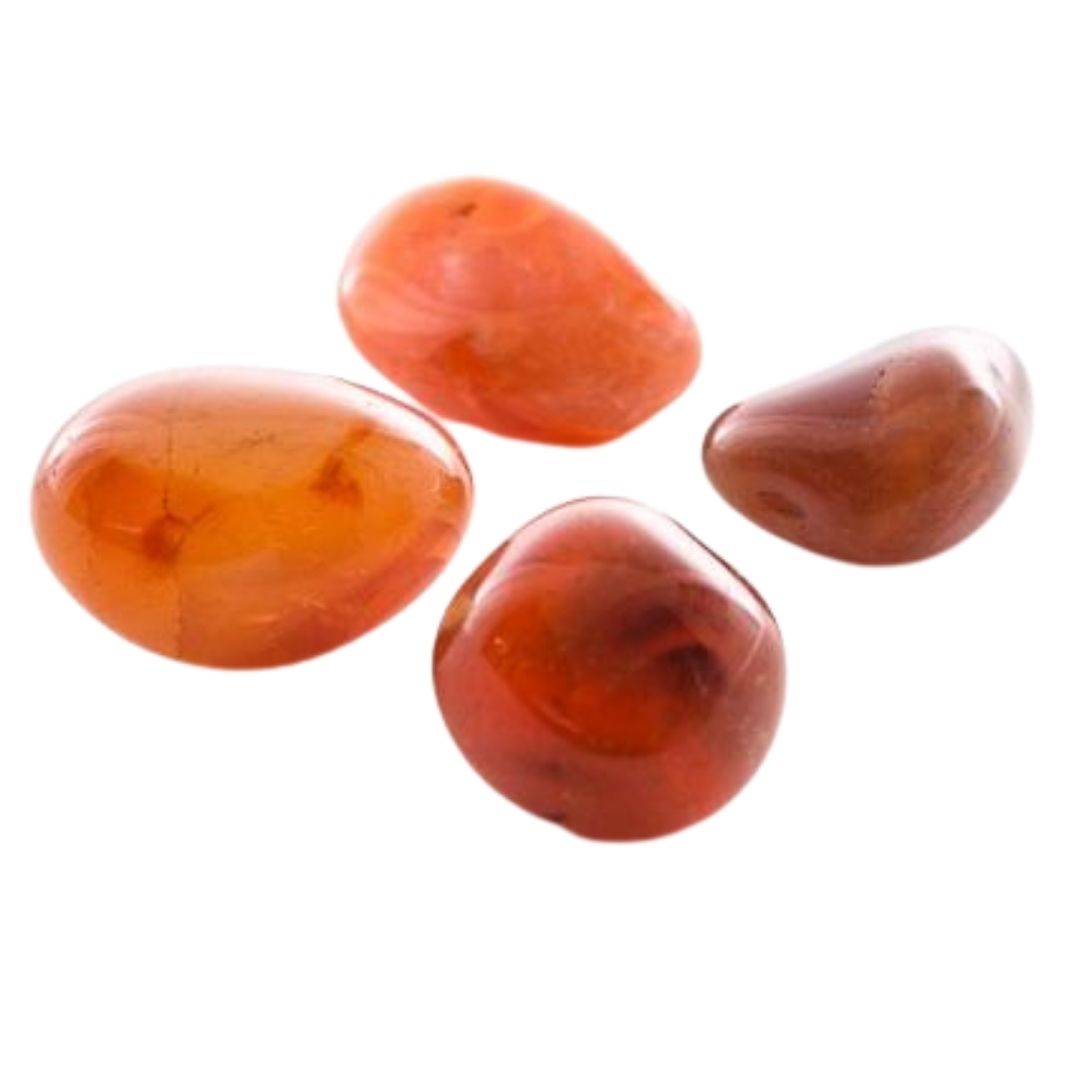 Carnelian ~ Tumbled stone small