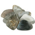 Dendritic Agate ~ Tumbled stone