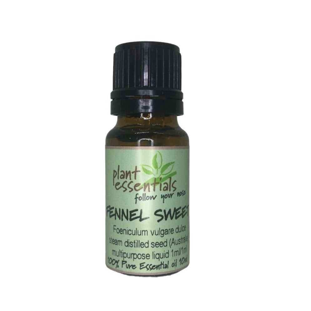 Fennel, Sweet Essential Oil, Foeniculum vulgare dulce