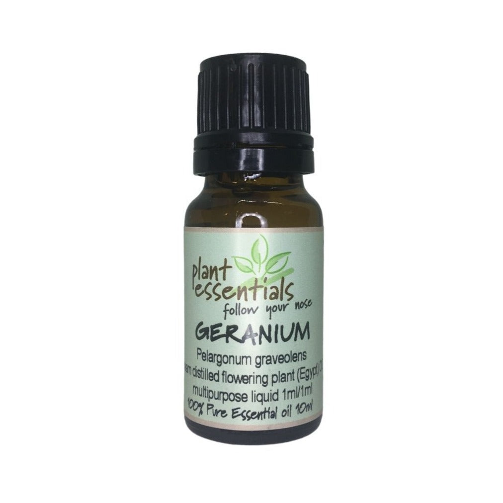 Geranium Essential Oil, Pelargonium graveolens