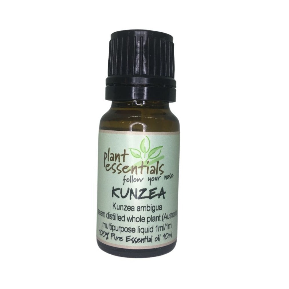 Kunzea Essential Oil, Kunzea ambigua