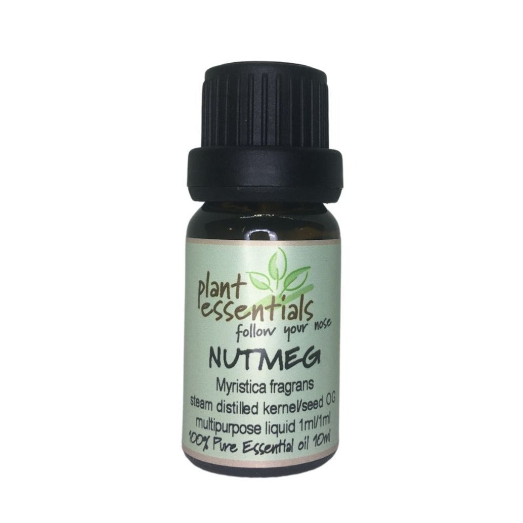 Nutmeg Essential Oil, Myristica fragrans