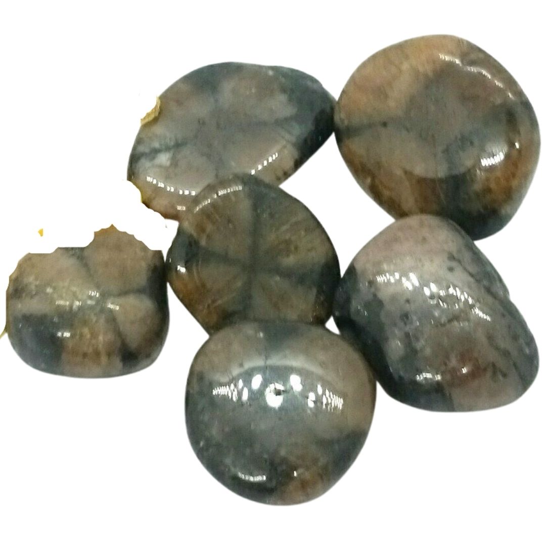 Chiastolite ~ tumbled stone