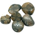 Chiastolite ~ tumbled stone