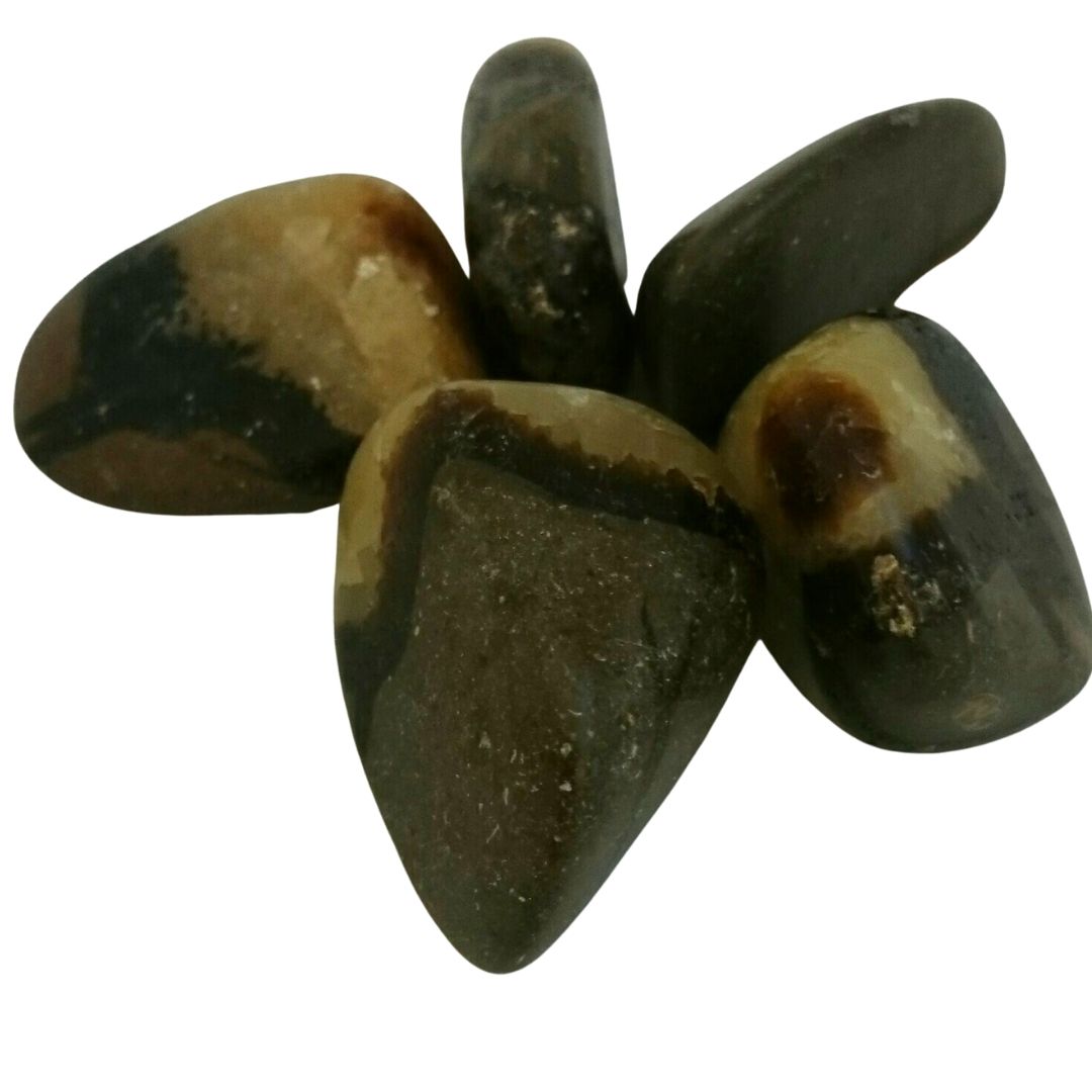 Septarian ~ Tumbled stone