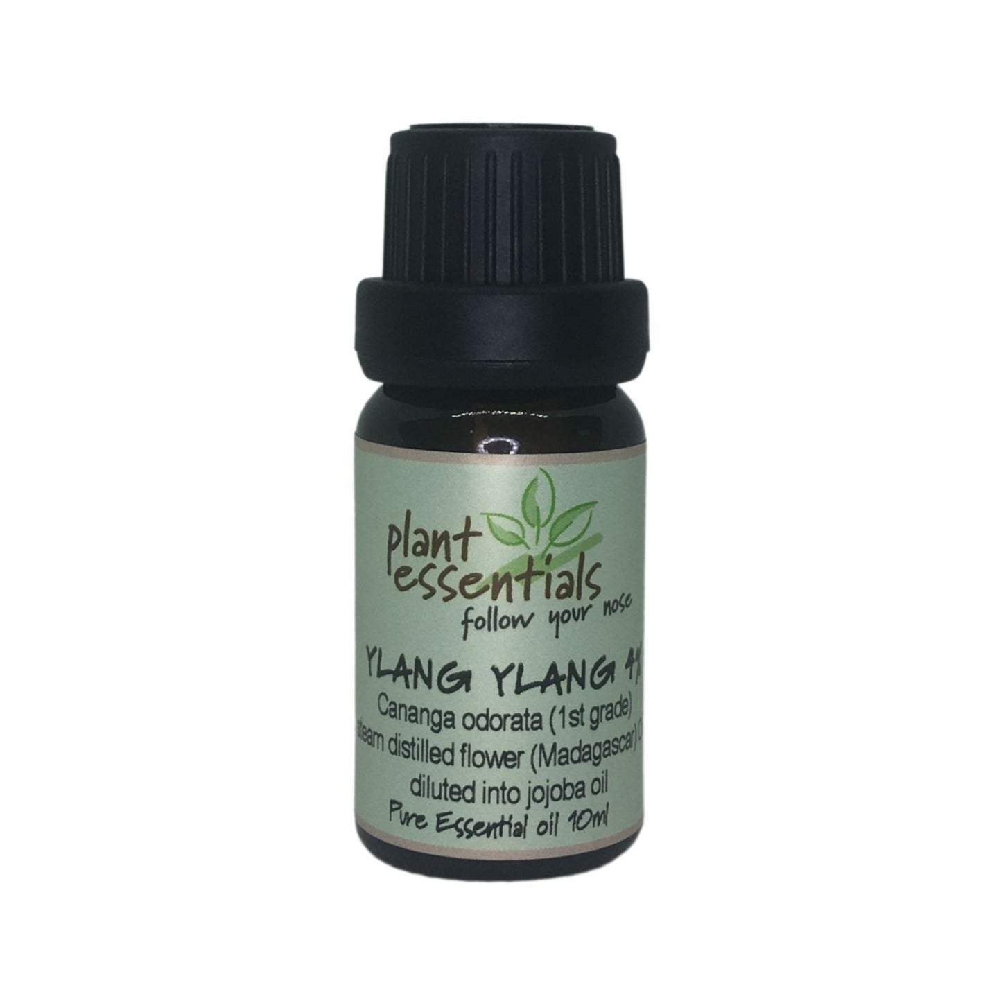 Flowers Six Essential Oil Set
