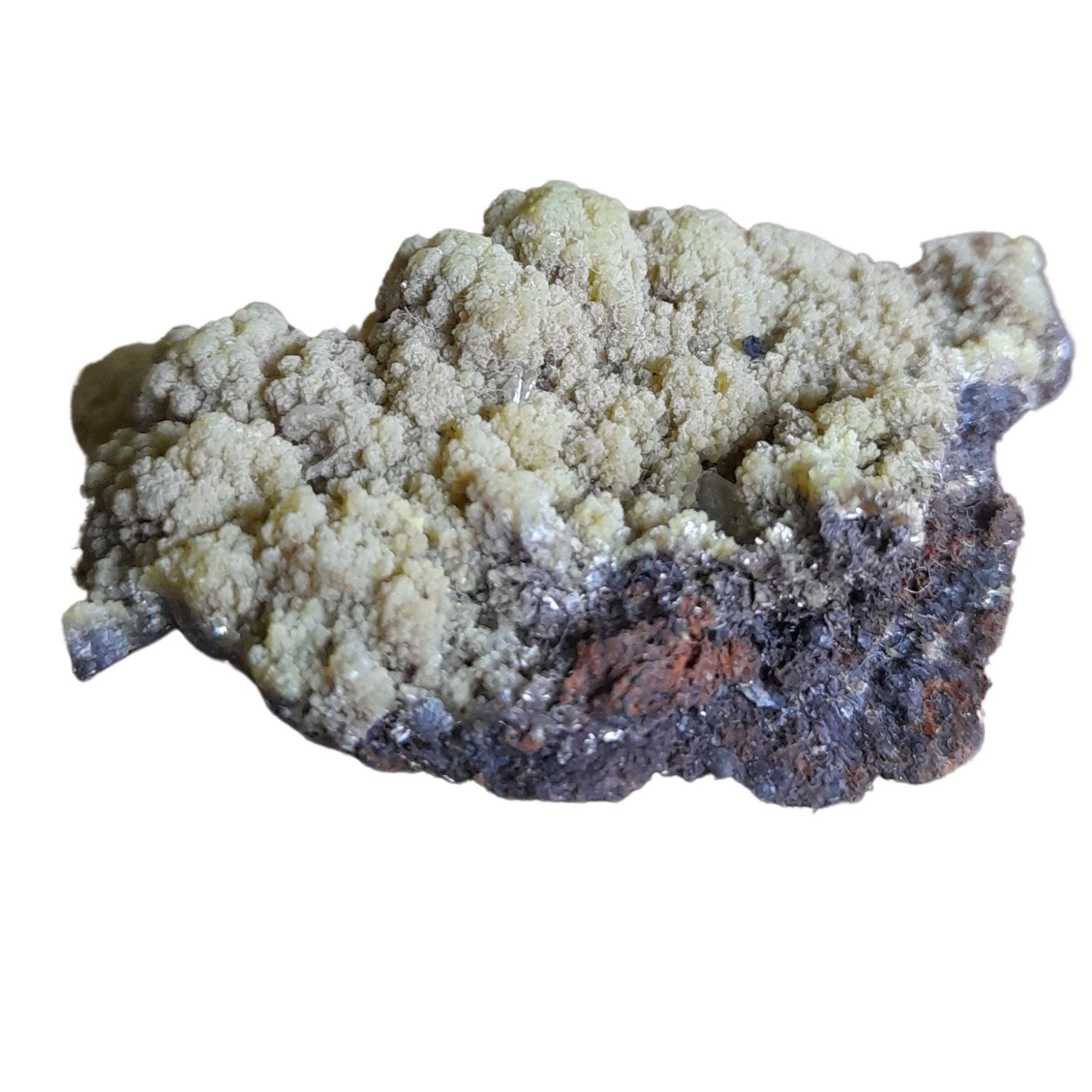 Adamite Media 1 of 1