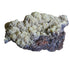 Adamite Media 1 of 1