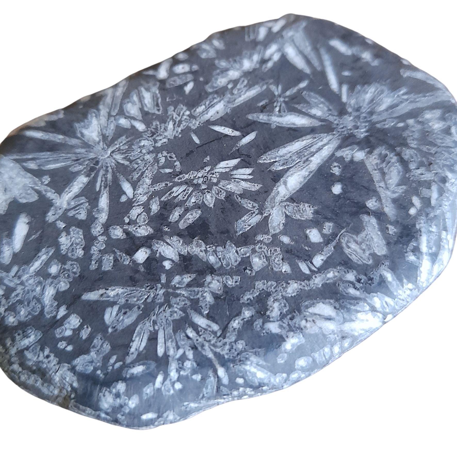 Chrysanthemum Stone