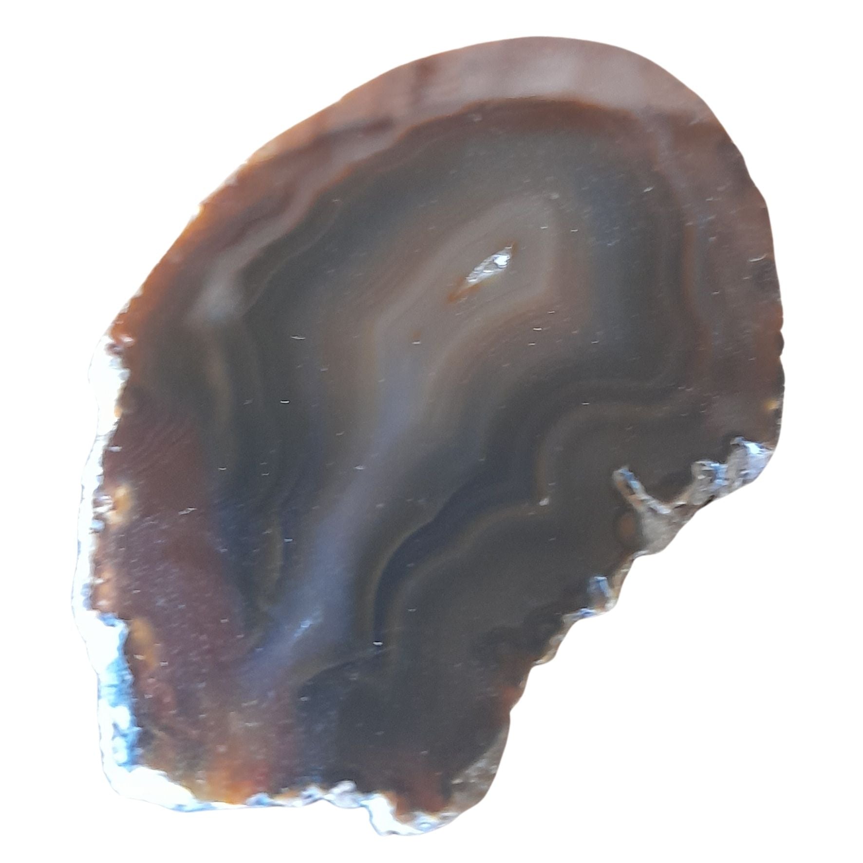 Agate slice