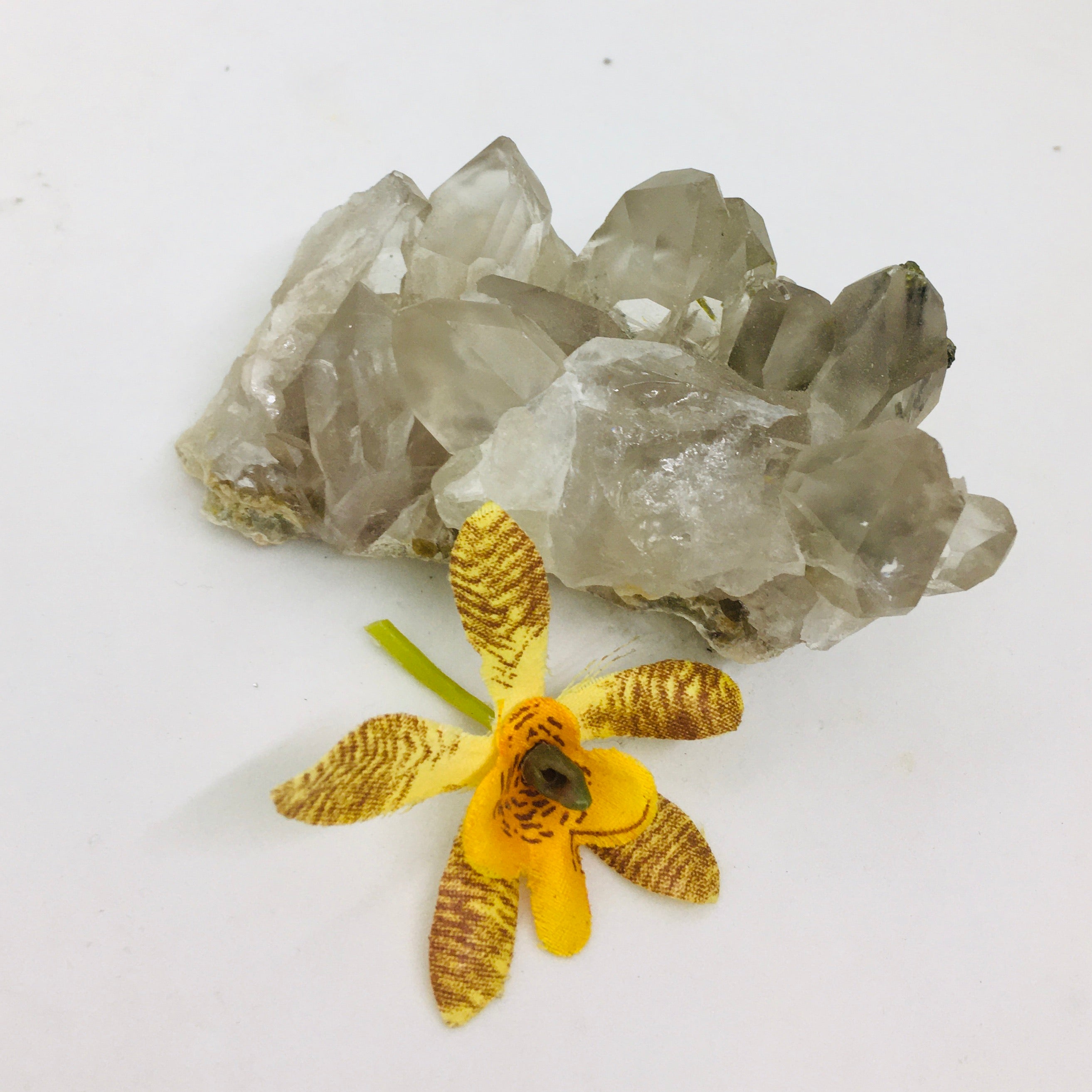 Smokey Quartz with green tourmaline ~ Cluster