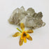Smokey Quartz with green tourmaline ~ Cluster