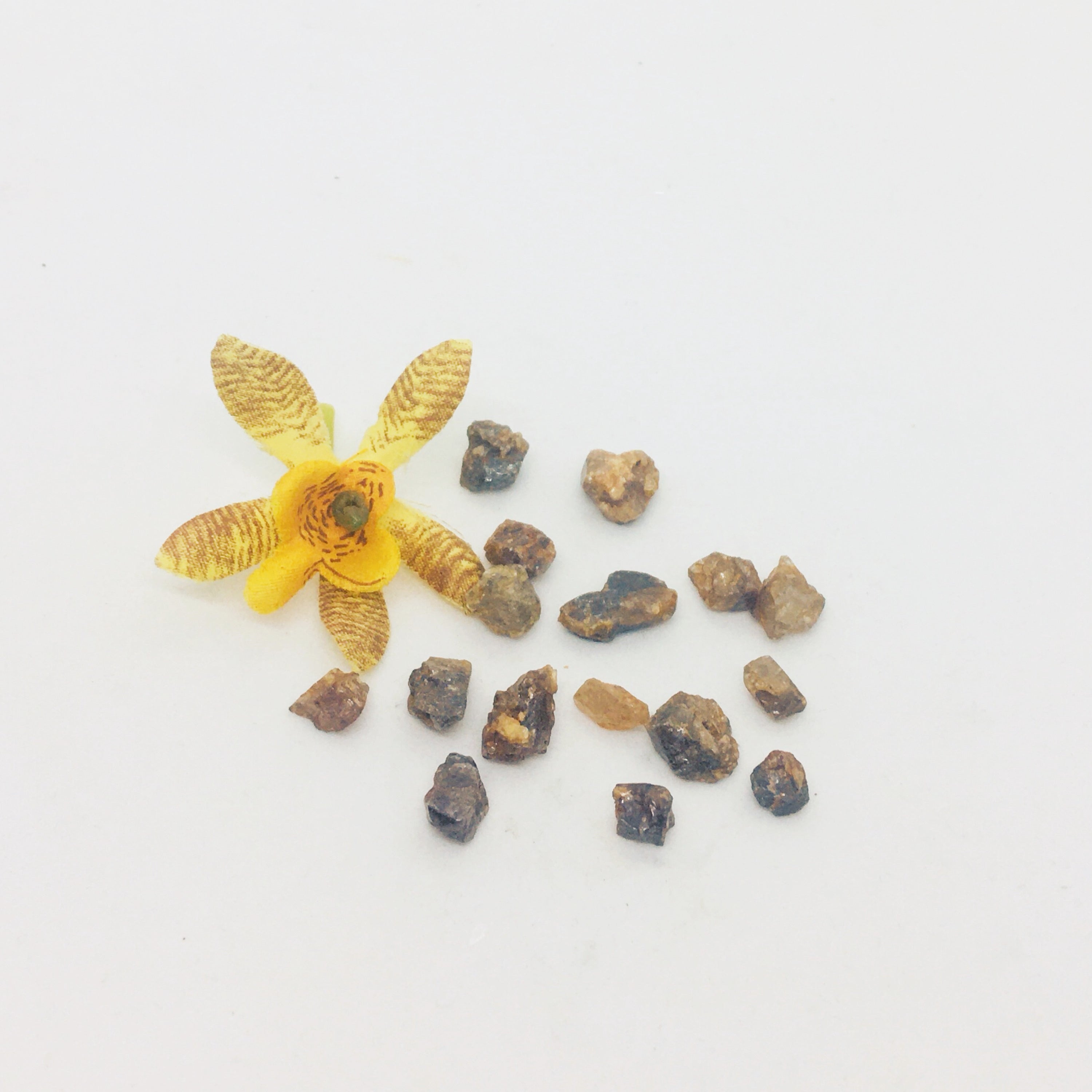 Hyacinth aka Zircon