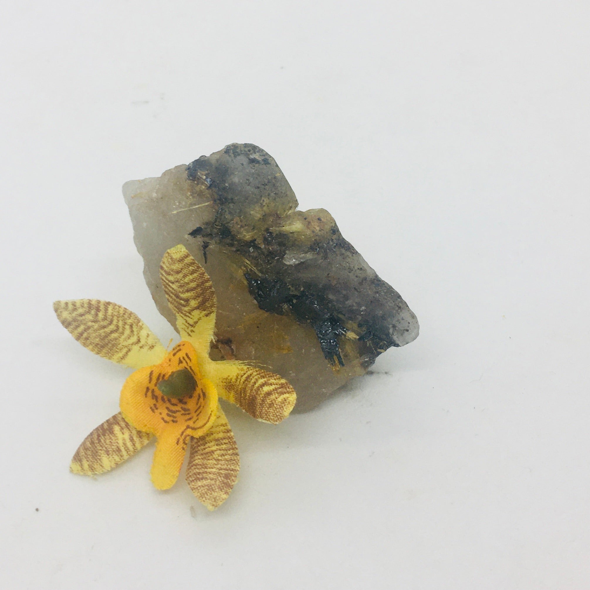 Rutilated Quartz ~ Raw