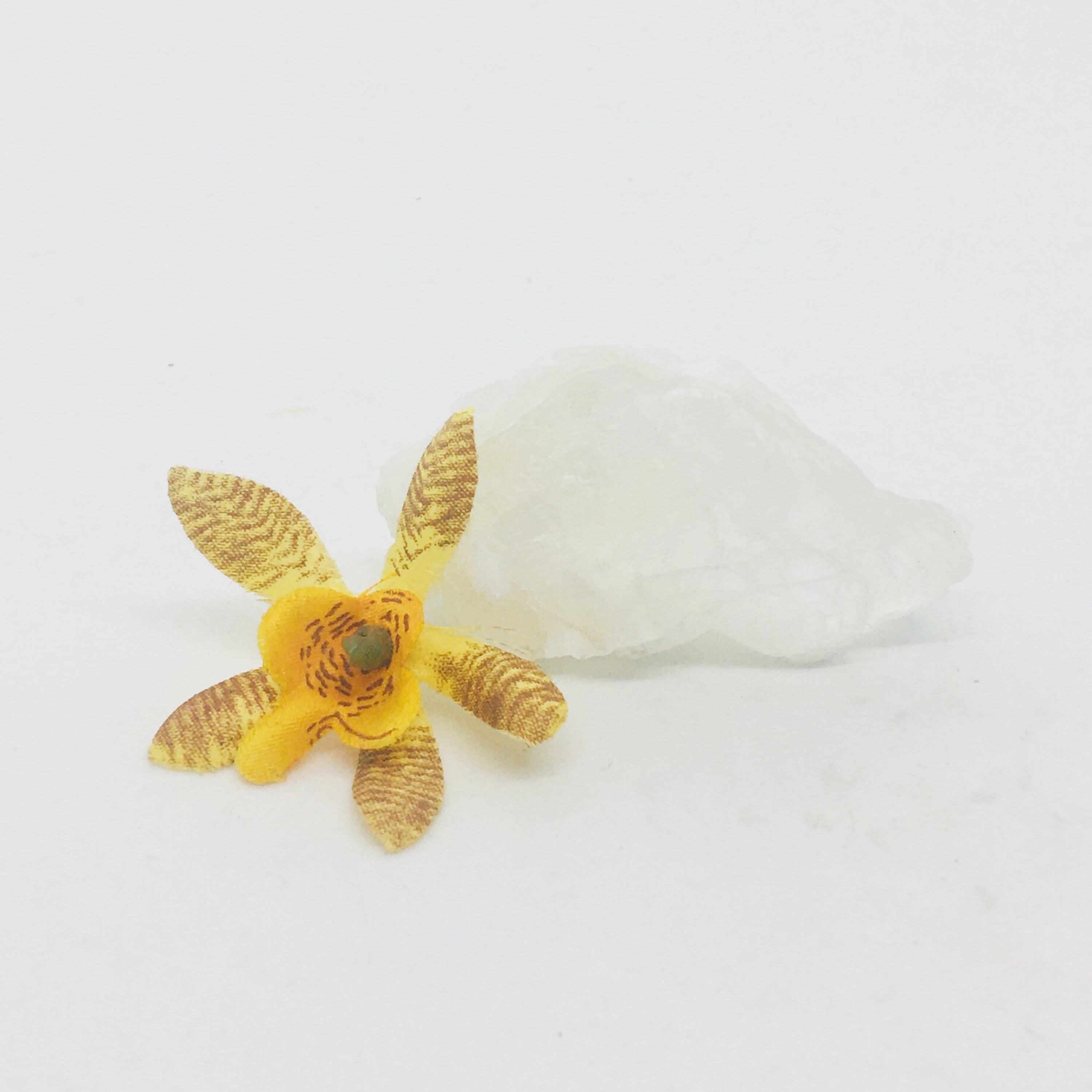 Selenite Fishtail ~ Large