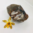 Smokey Quartz with Red Epidote