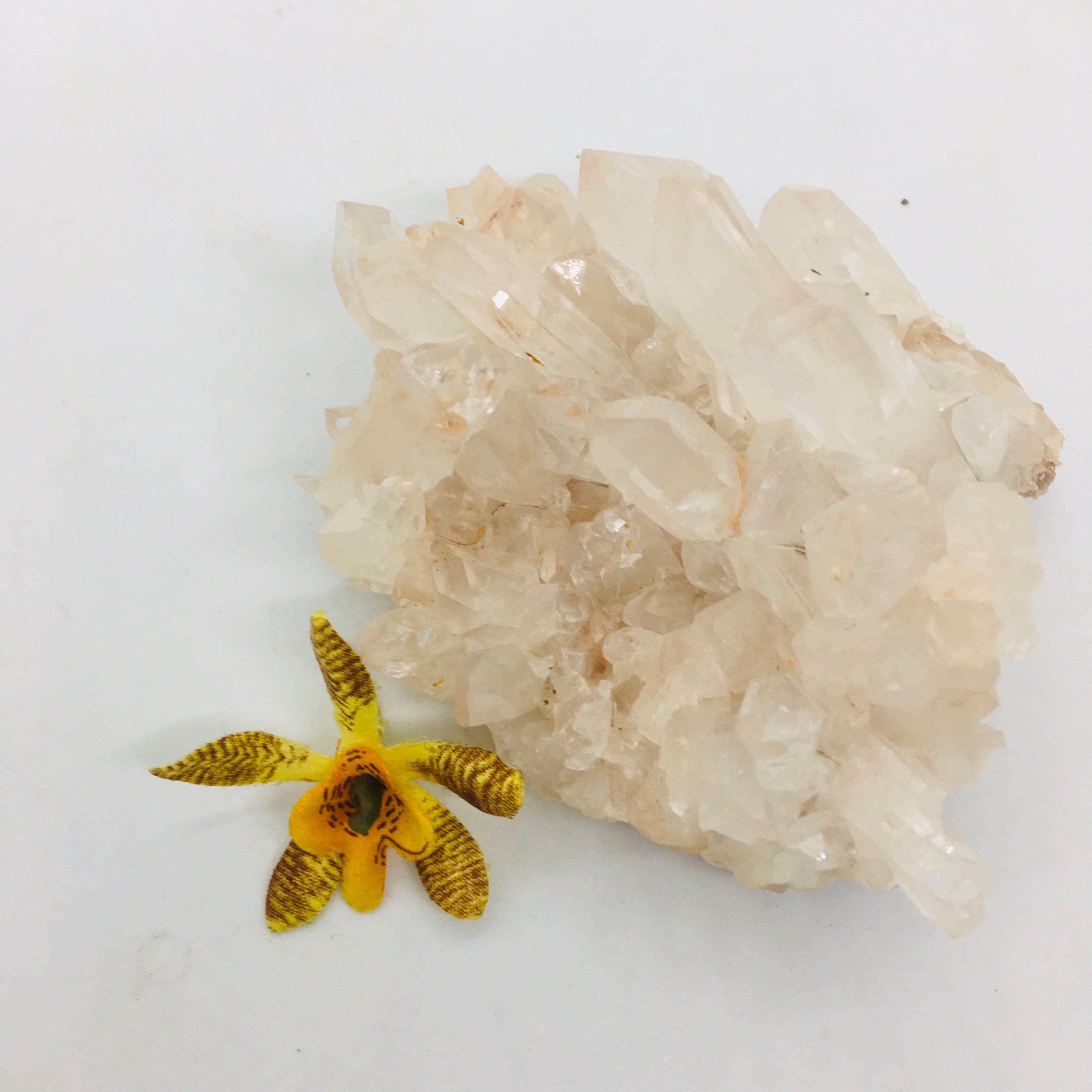Madagascan Pink Quartz ~ Cluster