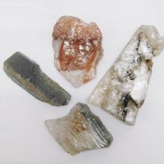 Lodolite ~ Half Polished