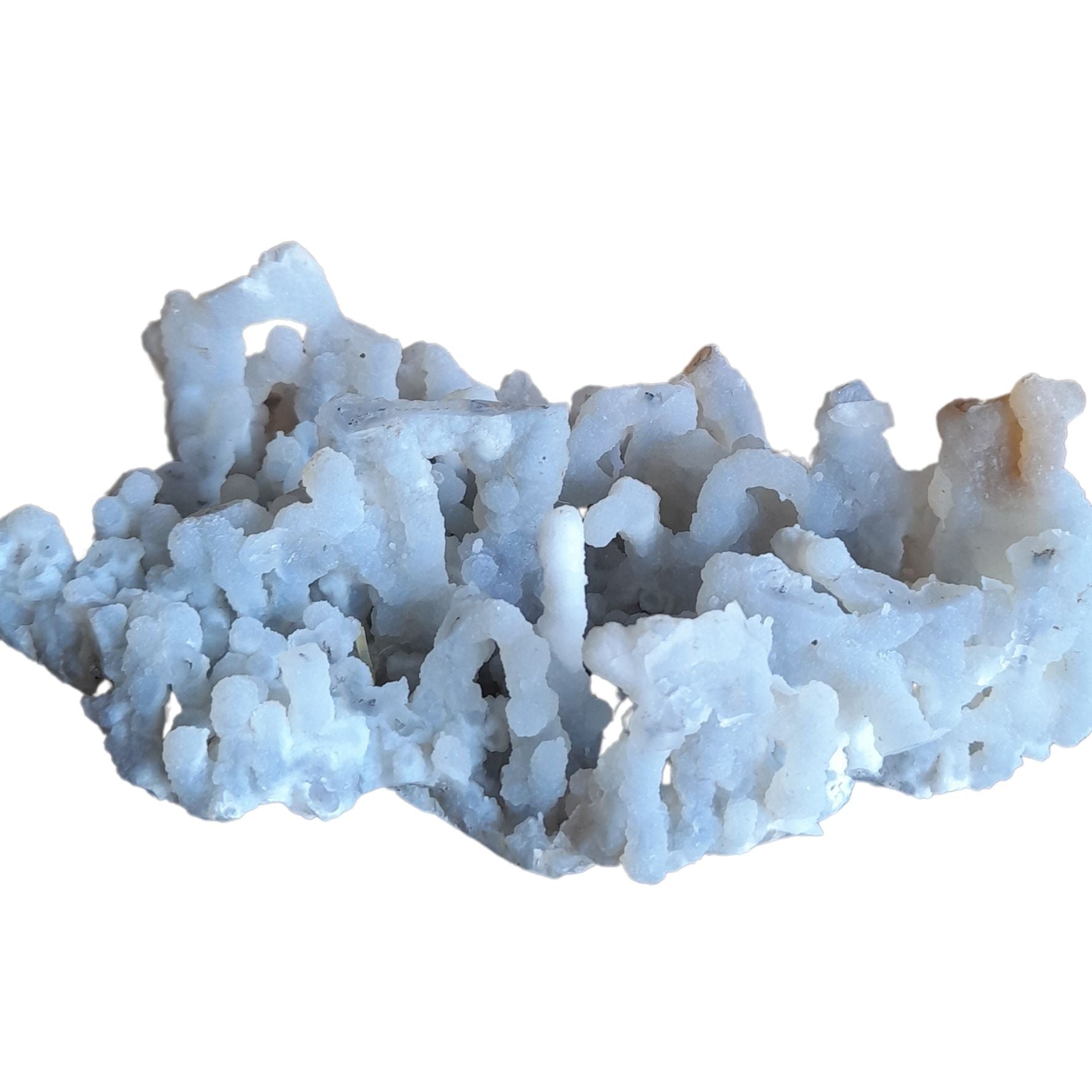 Chalcedony Stalagmite Media 1 of 1